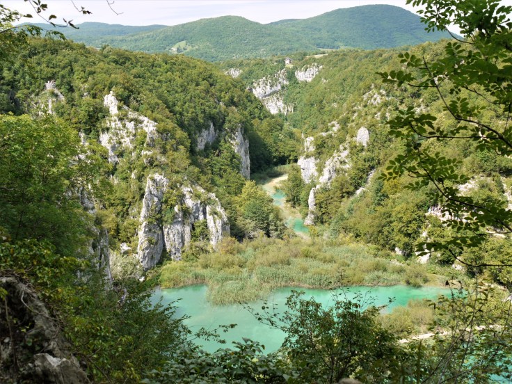 p1590450