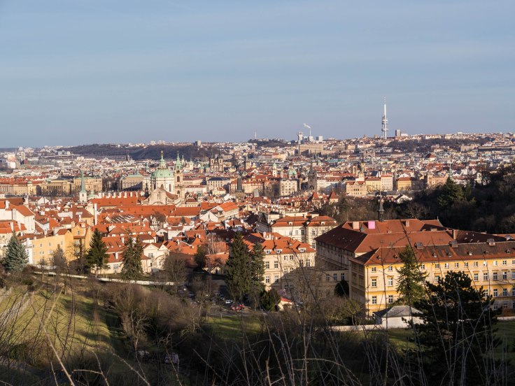 P1030932-24