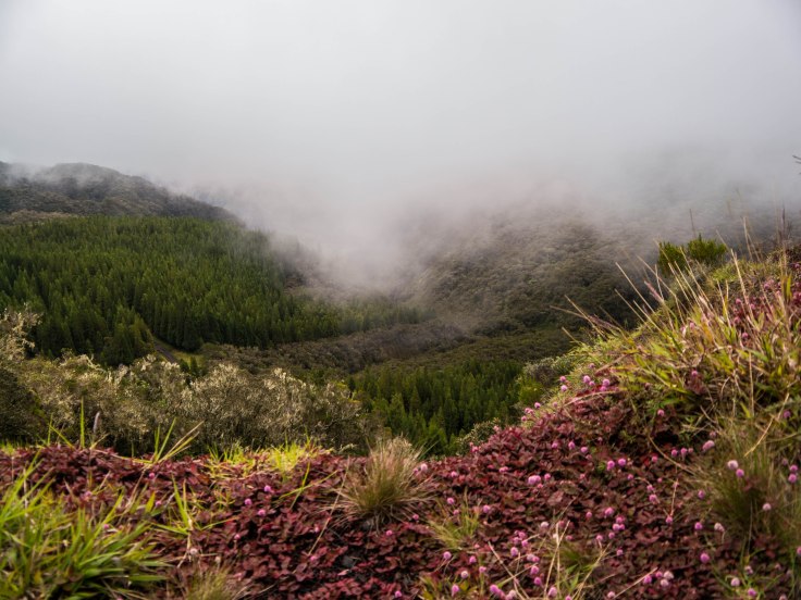 P1040256-15