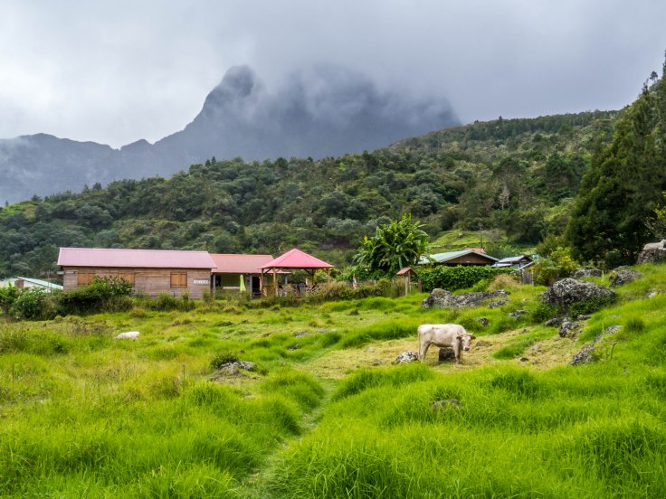P1040342-1