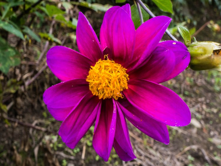 P1040346-34