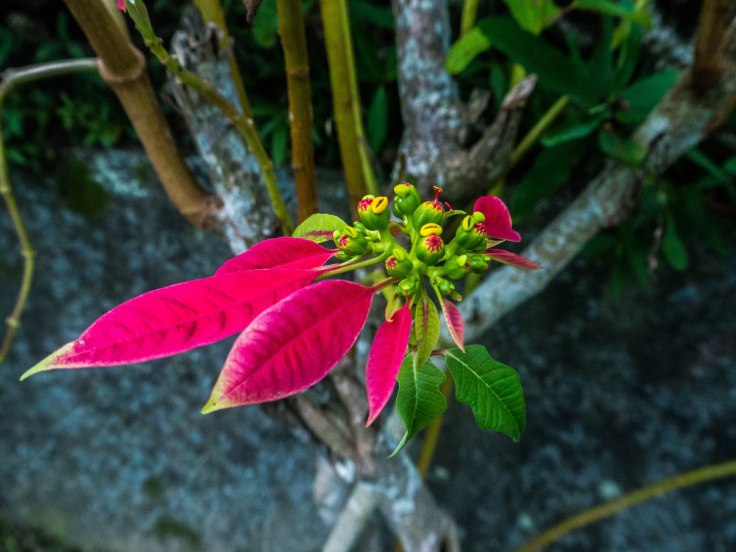 P1040381-39
