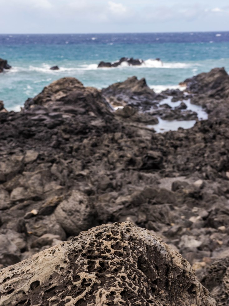 P1040460-1