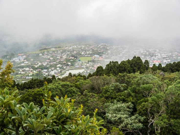 P1040574-8