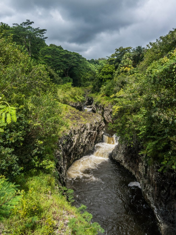 P1040608-15
