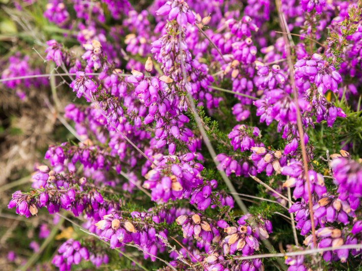 P1050363-11