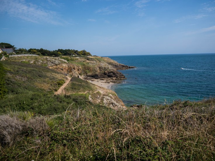 P1050541-9.jpg