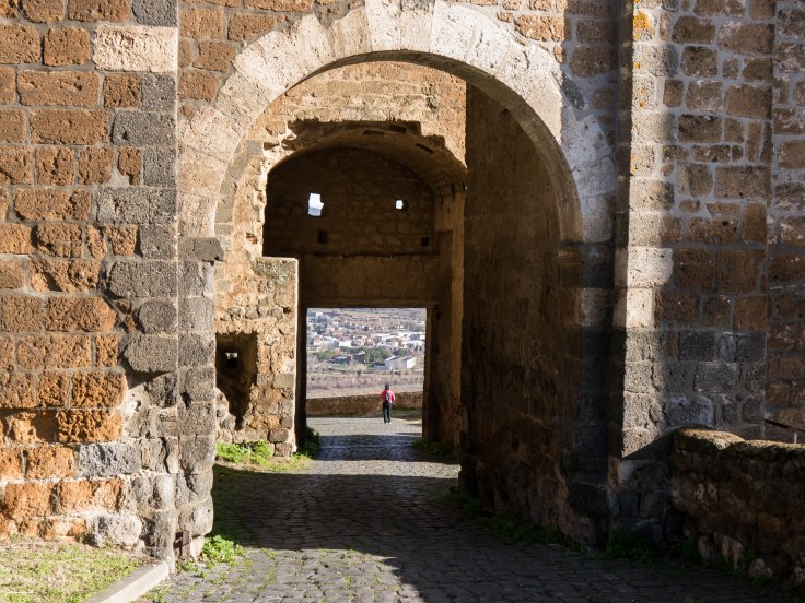 P1060886-1