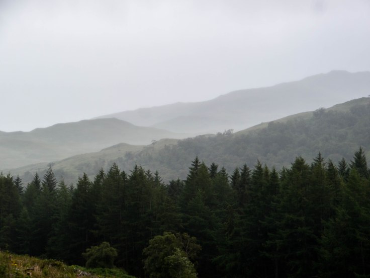 P1080352-129