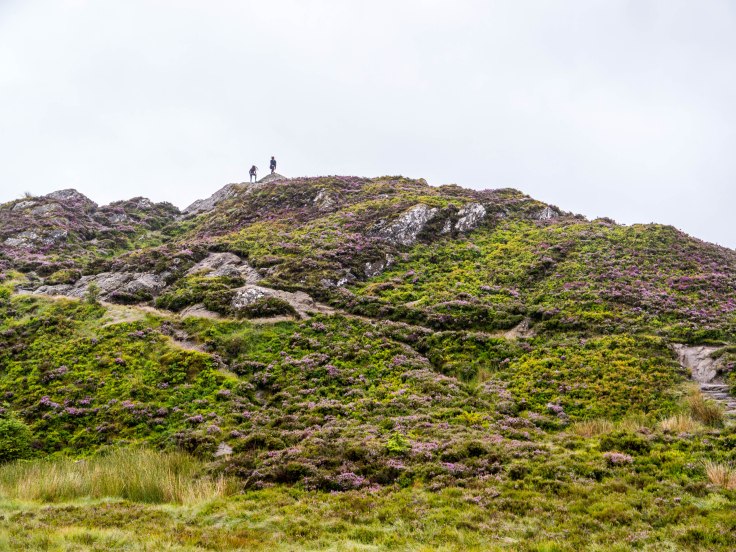 P1080384-3