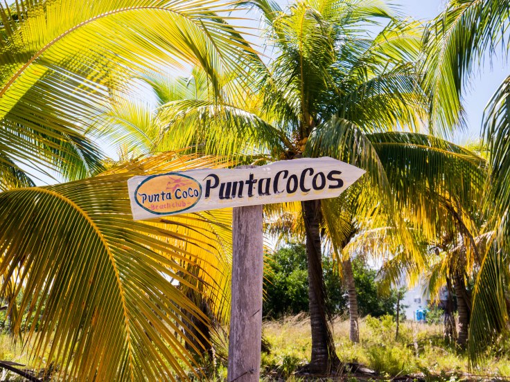 P1090012-4