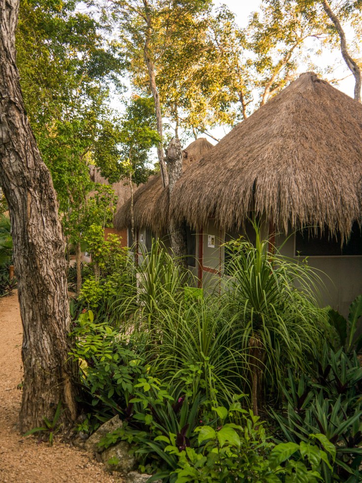 P1090035-13