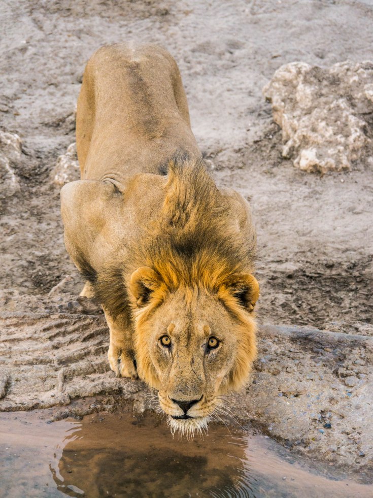 P1120866